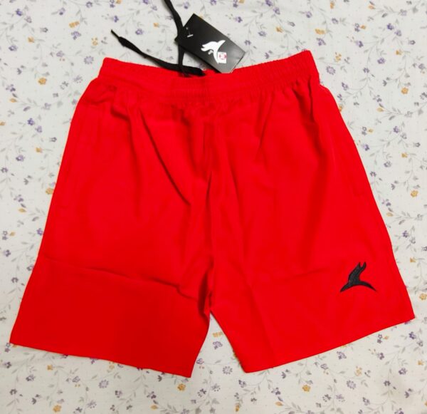 NS Shorts Sports Wear